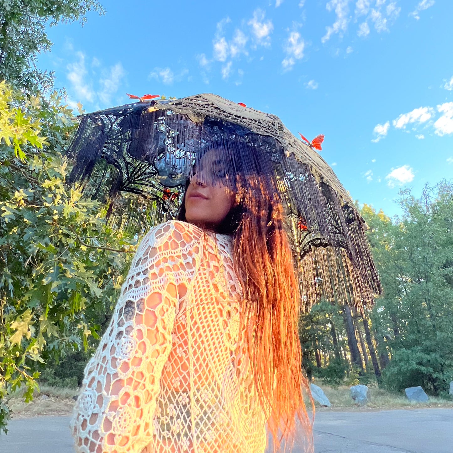 Monarch Parasol
